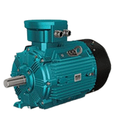 Explosion-proof motor