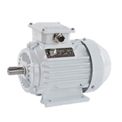 Three phase induction motor