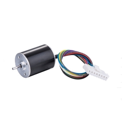 7000 rpm 12V 24V Small Brushless DC Motor