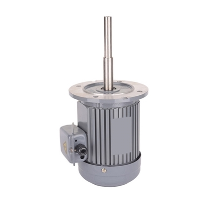 1/3 hp 160mm Long Shaft Induction Motor, 2700 rpm