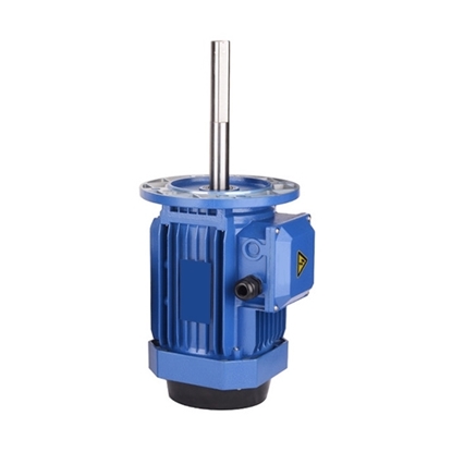 180/250W 160mm Long Shaft Induction Motor, 2700 rpm