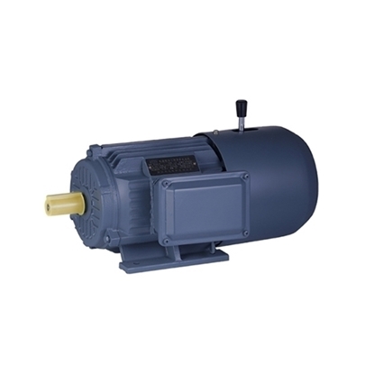 15 hp (11kW) Brake Motor, 3 Phase, 2/4 Pole