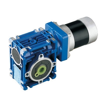 100 W DC Worm Gear Motor, 12V/24V/48V