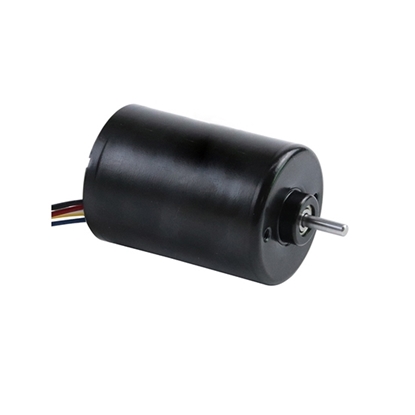 4000 rpm 12V 24V Small Brushless DC Motor