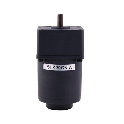 20 W AC Gear Motor, Torque  Motor with Gearbox, single phase